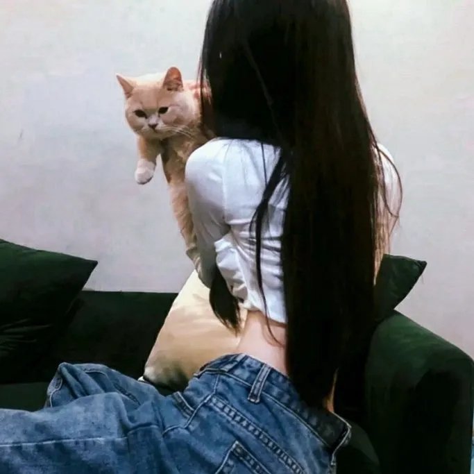 电脑奇侠重启