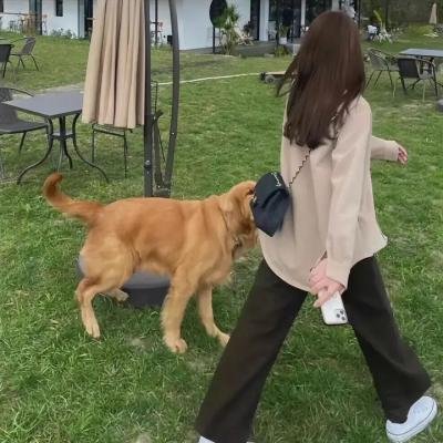 致命目标